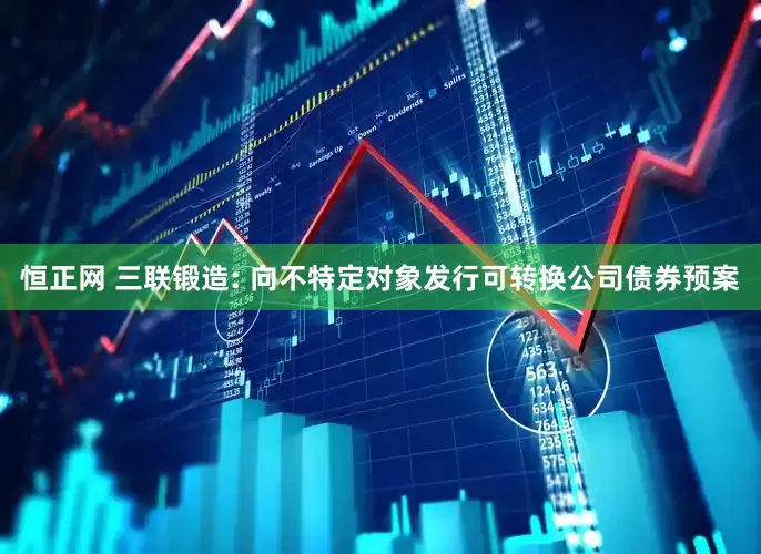 恒正网 三联锻造: 向不特定对象发行可转换公司债券预案