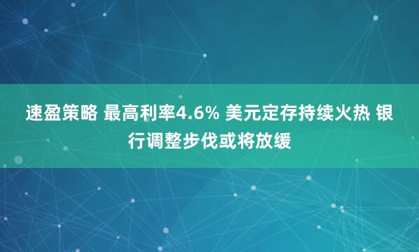 速盈策略 最高利率4.6% 美元定存持续火热 银行调整步伐或将放缓